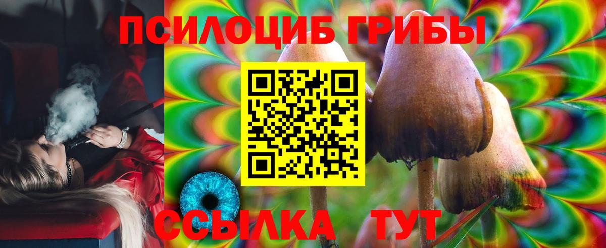 Галлюциногенные грибы Psilocybe  Вход с VPN  Псилоцибиновые грибы мицелий  Чернушка 