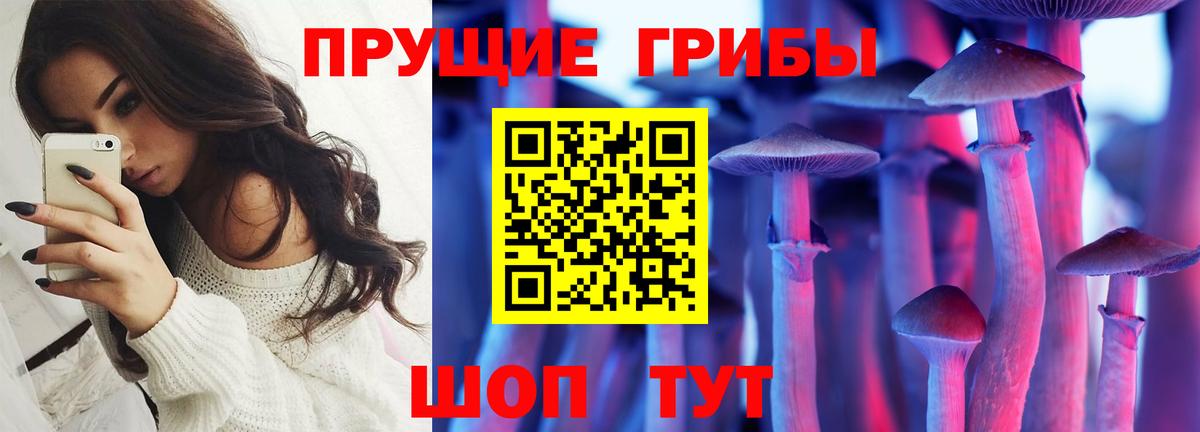 Галлюциногенные грибы Psilocybine cubensis Чернушка